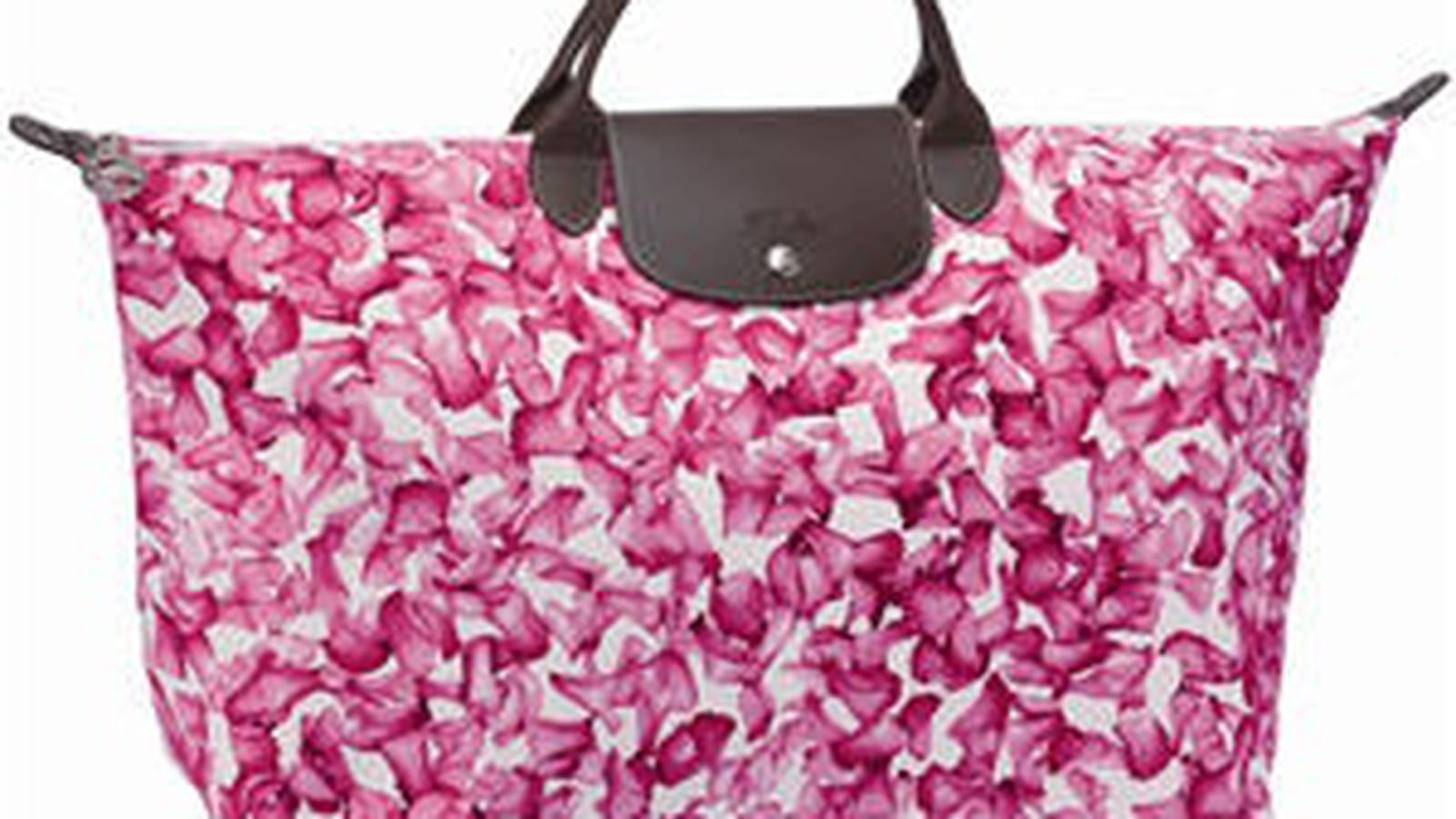 Bagage "Darshan" de Longchamp