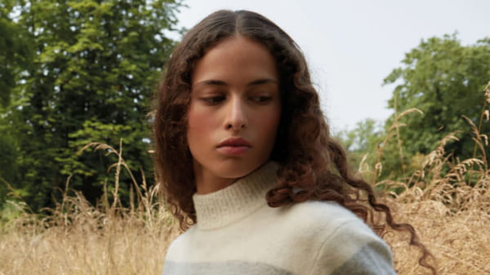 Pull Comptoir des Cotonniers 