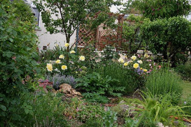 Mélange des genres au jardin