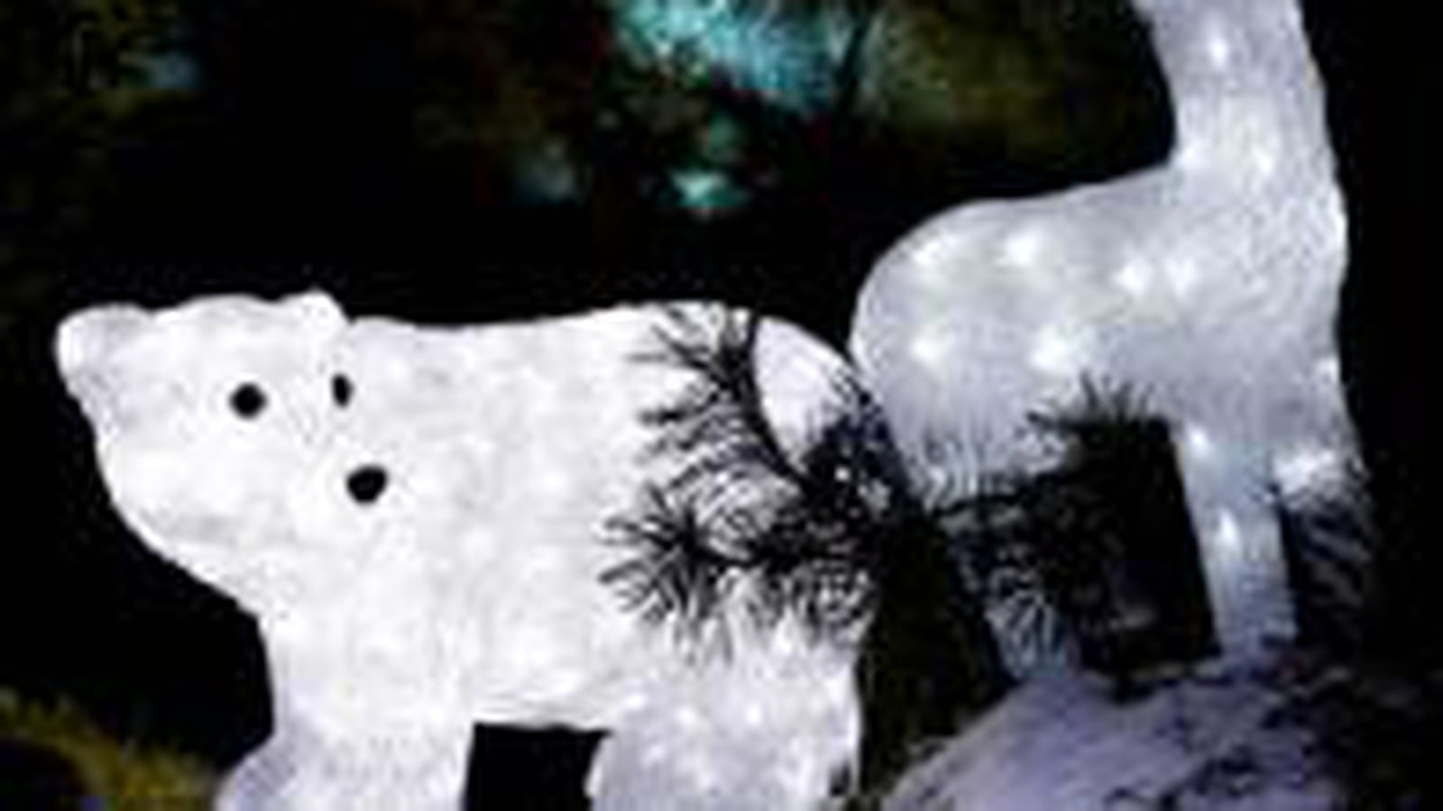 Animaux lumineux