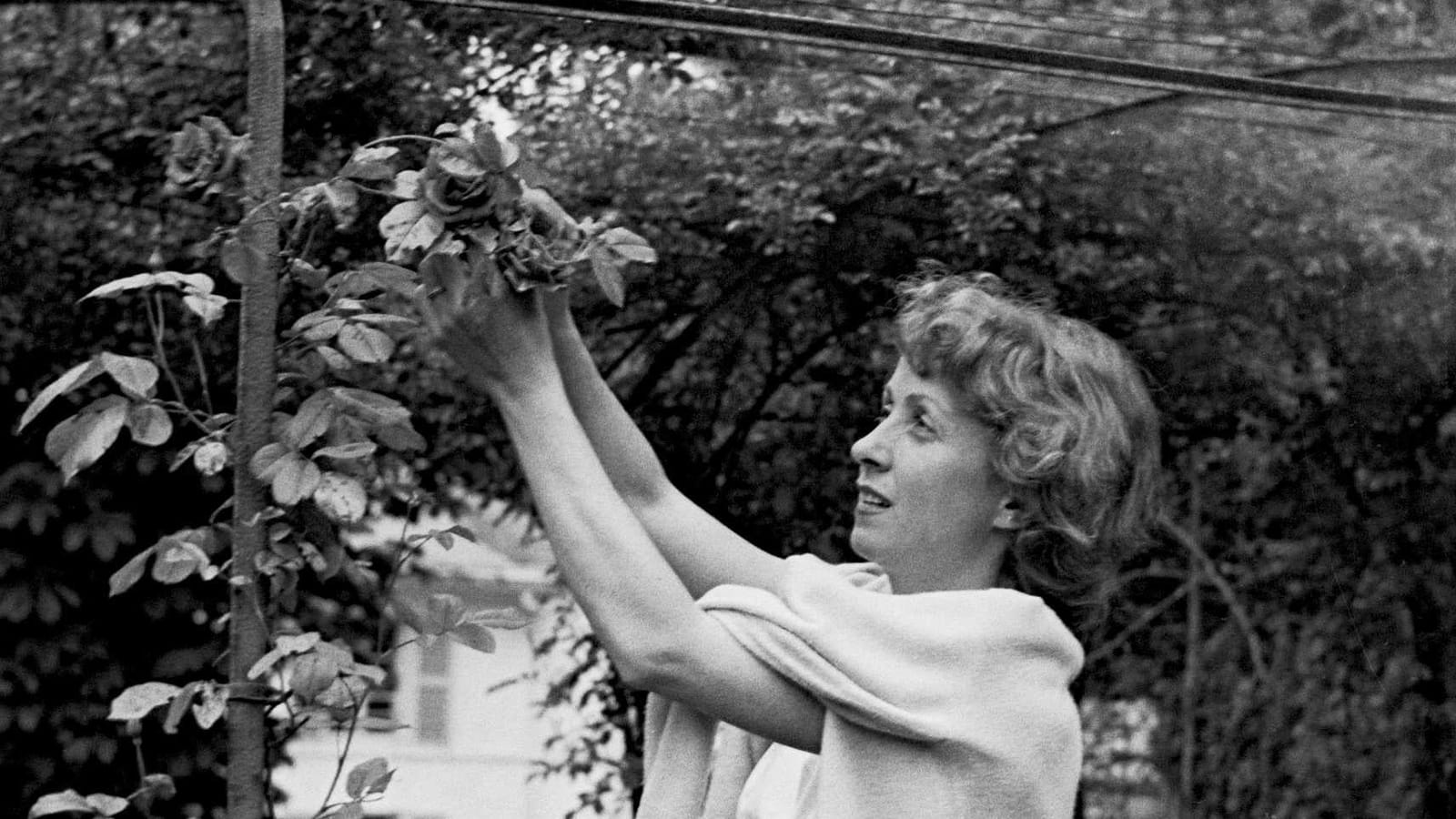 La main verte