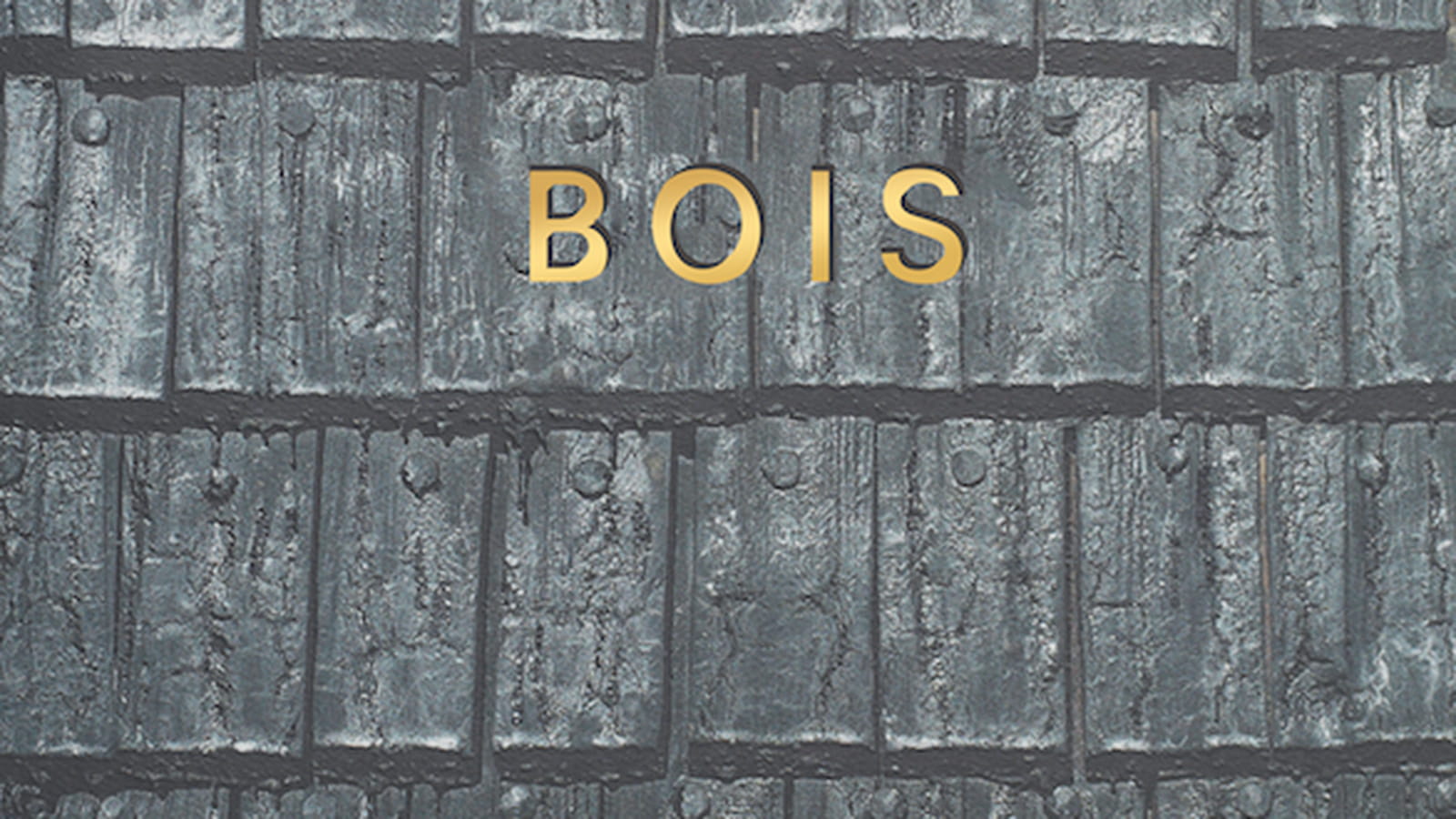Bois par William Hall