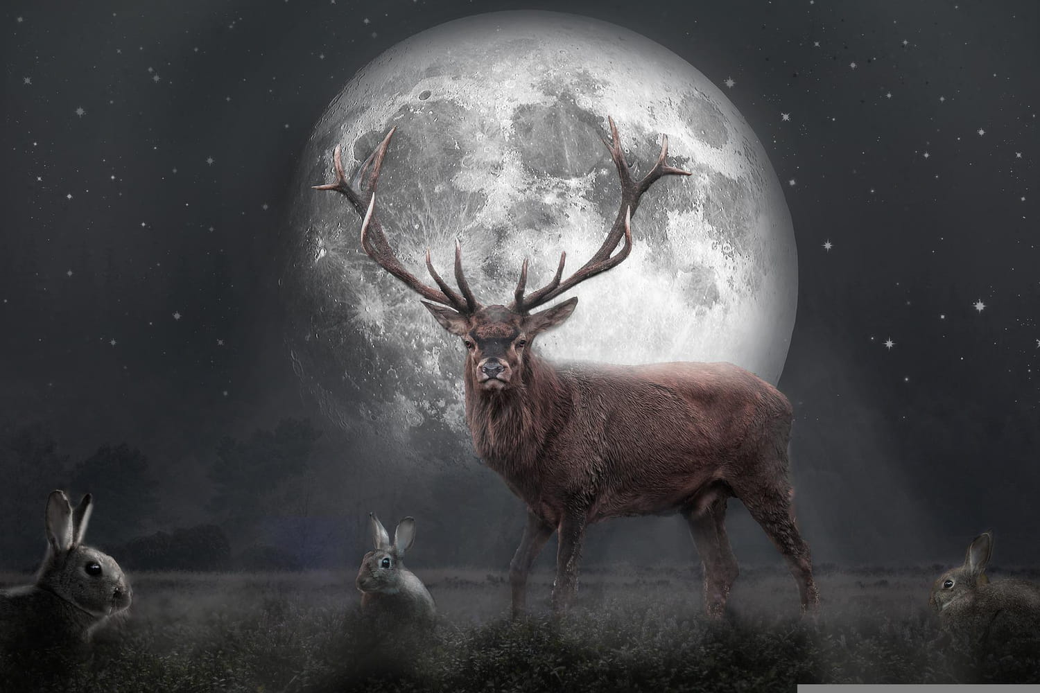 Pleine lune de juillet 2022 : son influence sur votre été