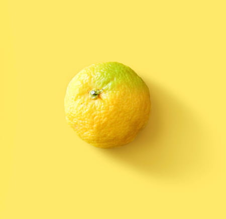 Yuzu, l'agrume aux super-pouvoirs 3 34052411