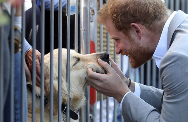 Prince Harry, sous le charme d'un beau blond