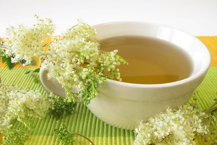 Reine-des-prés : bienfaits, posologie, faire une tisane