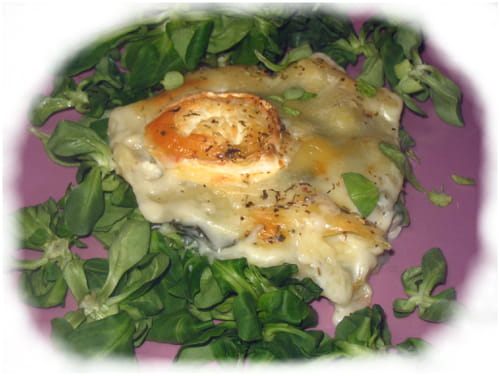 Lasagnes aux épinards et chèvre (Lasagne)