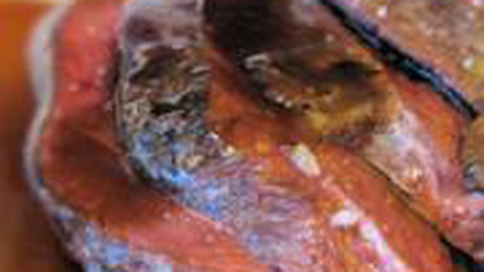 Magret de canard