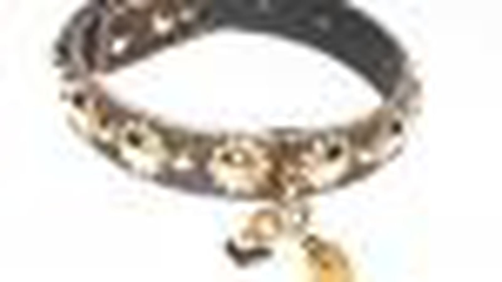 Collier pour chien