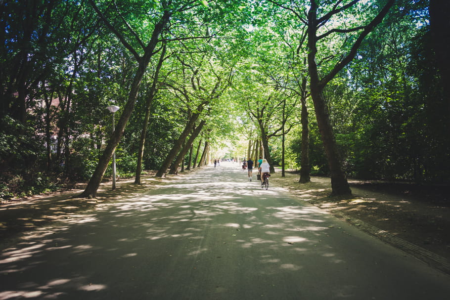 Réouverture des parcs et jardins : quand et comment ? Quid de Paris ?