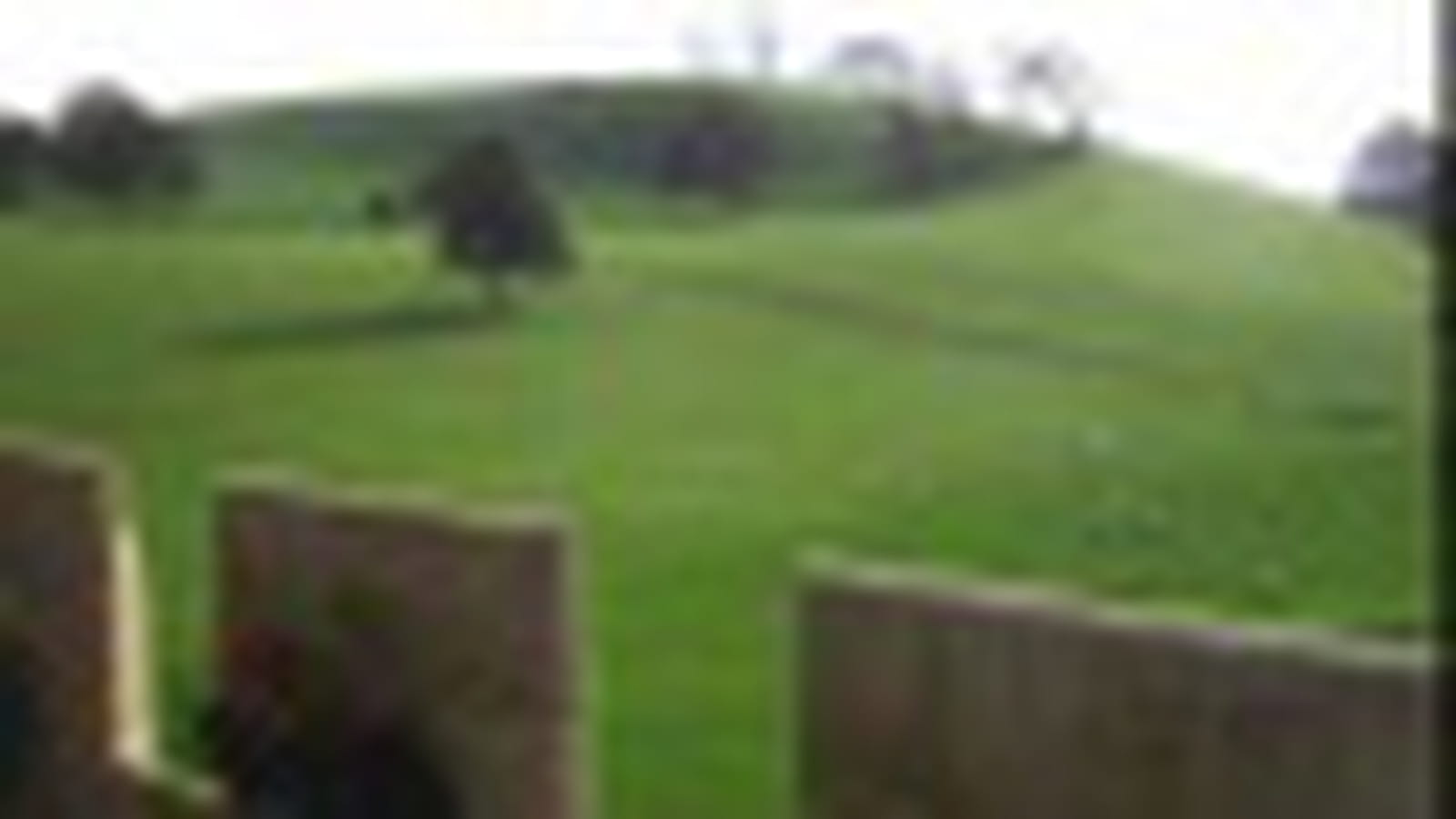 Vue