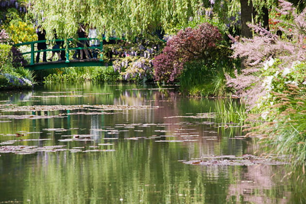 De l'eau à la fois réfléchissante et transparente