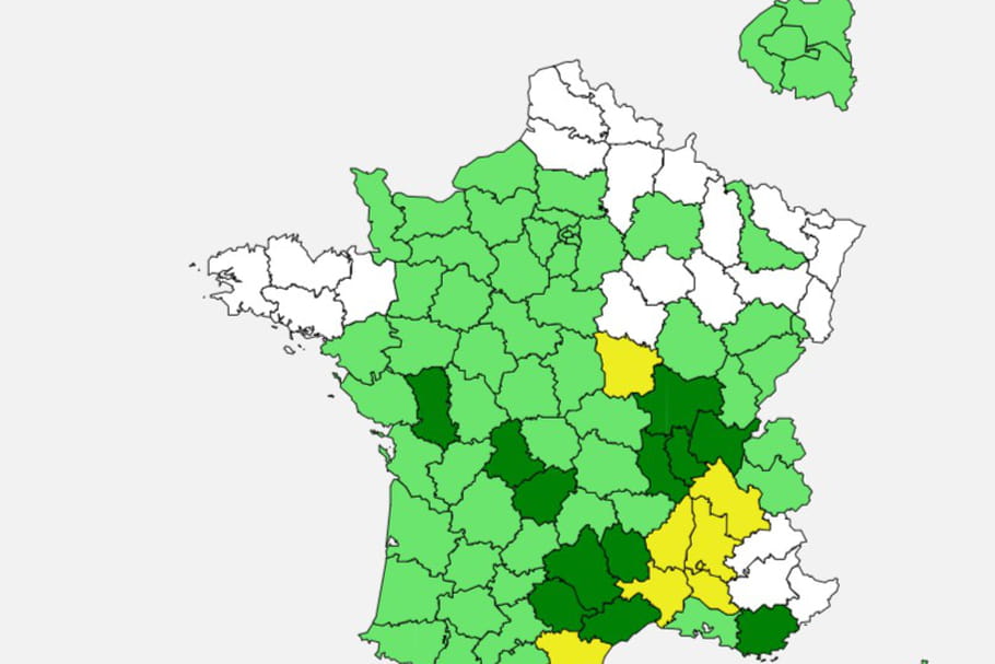 Carte des pollens : la saison pollinique touche à sa fin en France