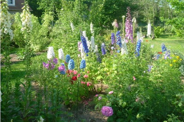 Symphonie de couleurs