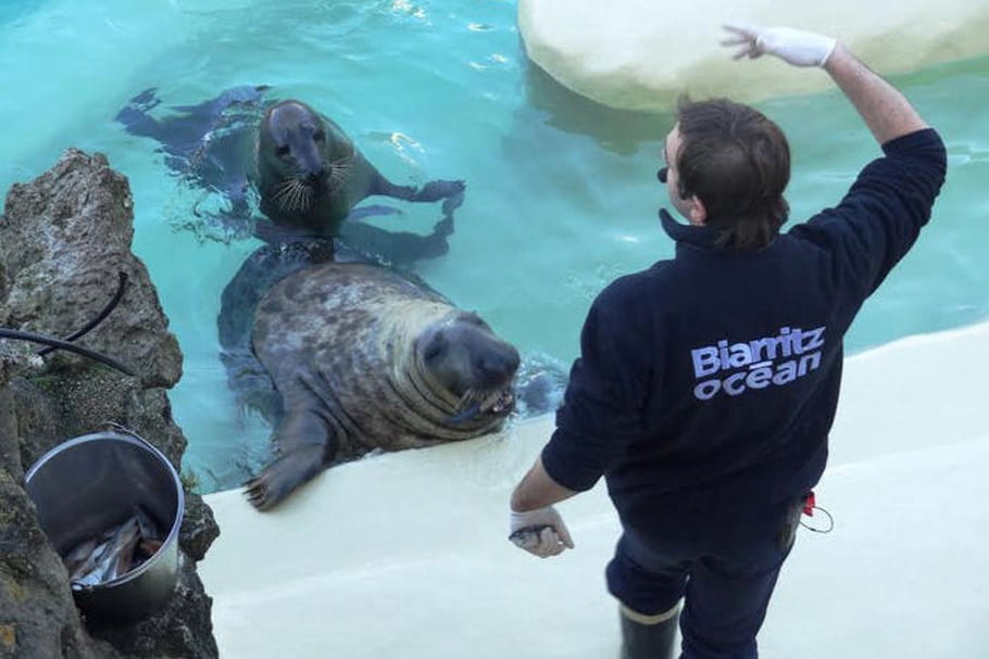 L'Aquarium de Biarritz : toutes les infos pratiques