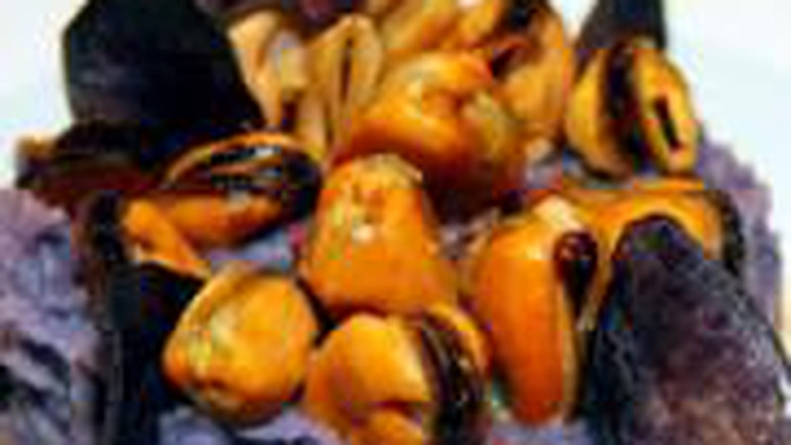 Parmentier vitelotte et moules