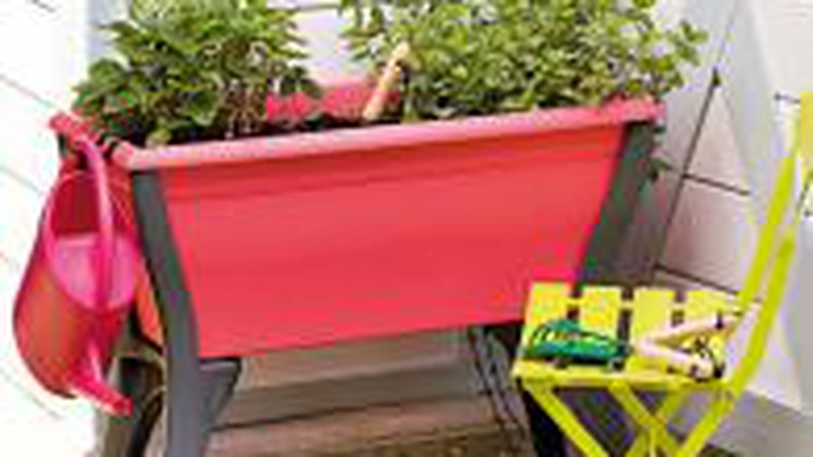 Potager pour les petits