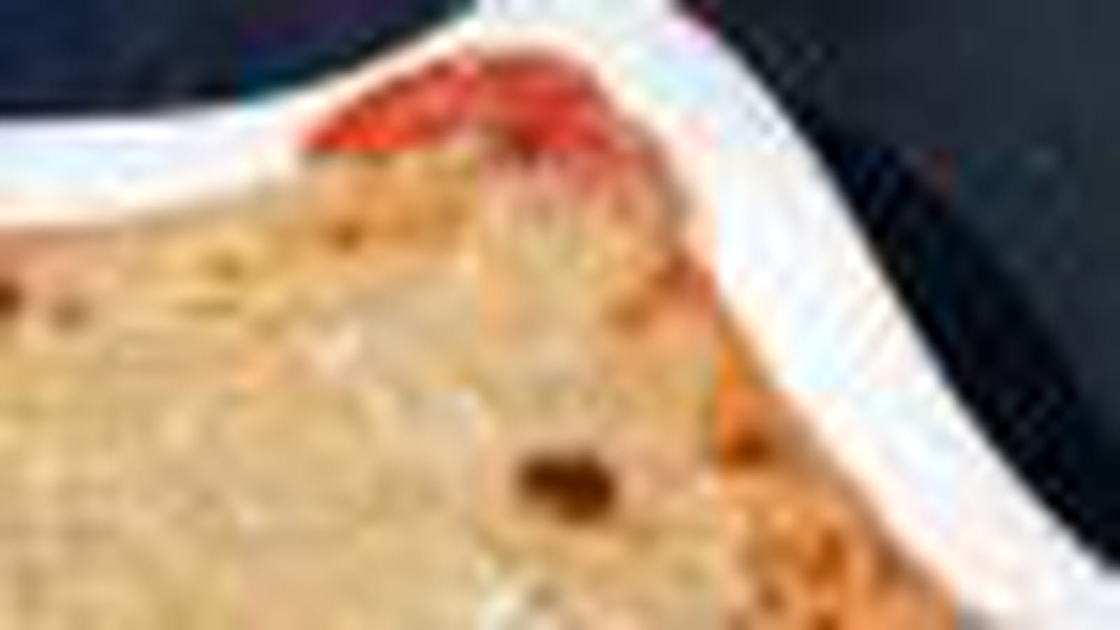 Gratin de rhubarbe
