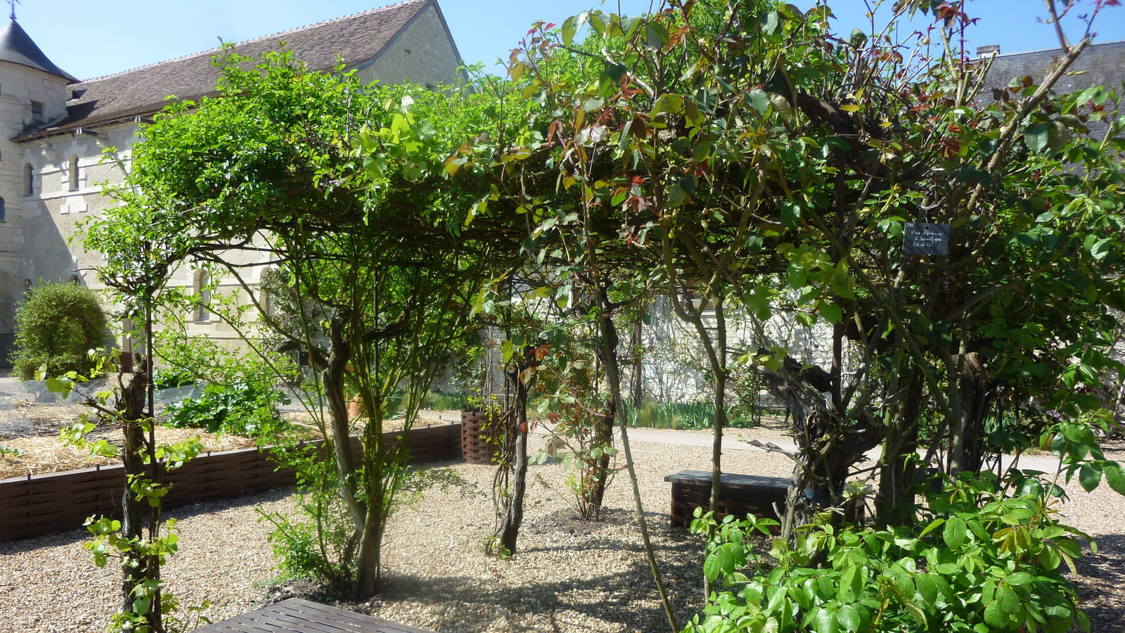 Pergola
