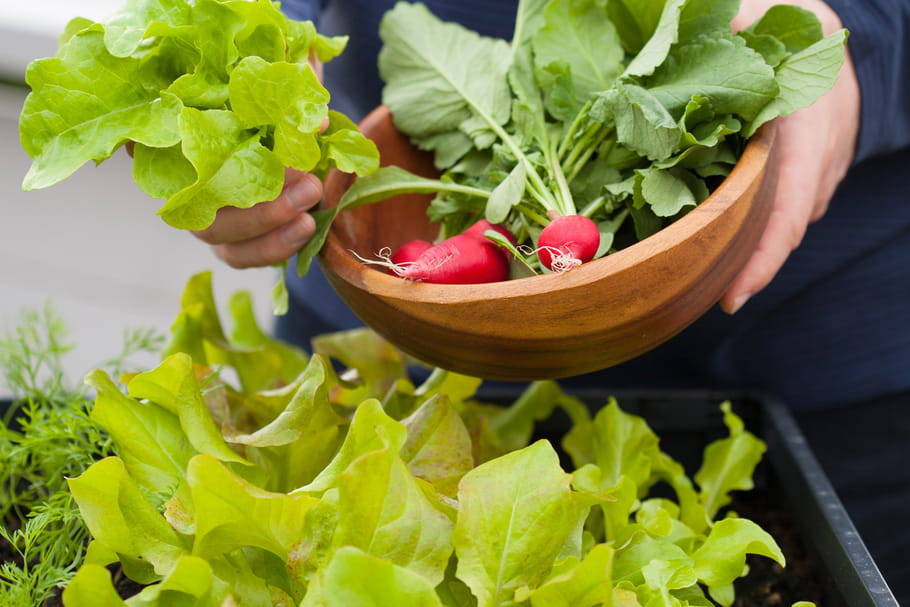 Comment faire un potager sur son balcon ?