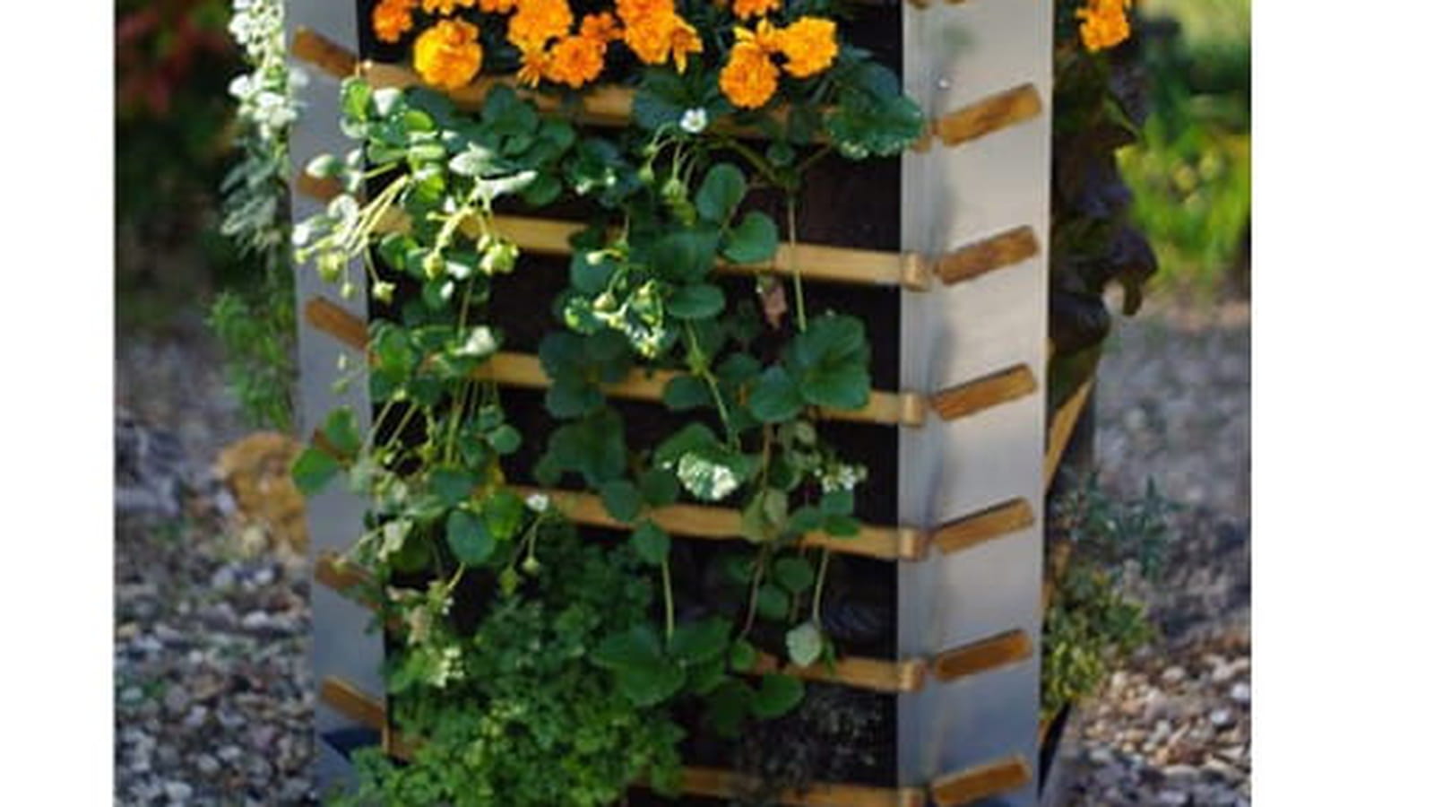 Le potager composteur, Vertika