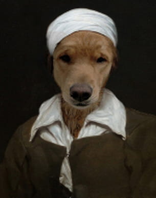 chienne au turban. 