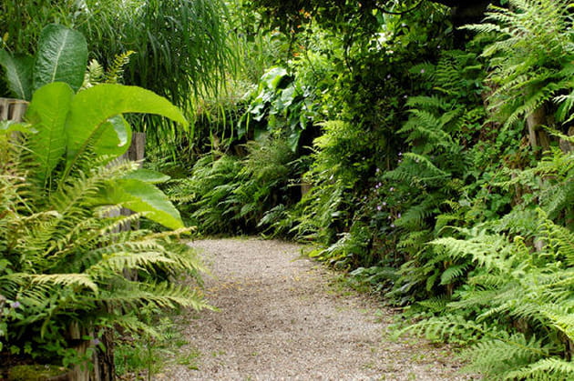 La chaussée des géants