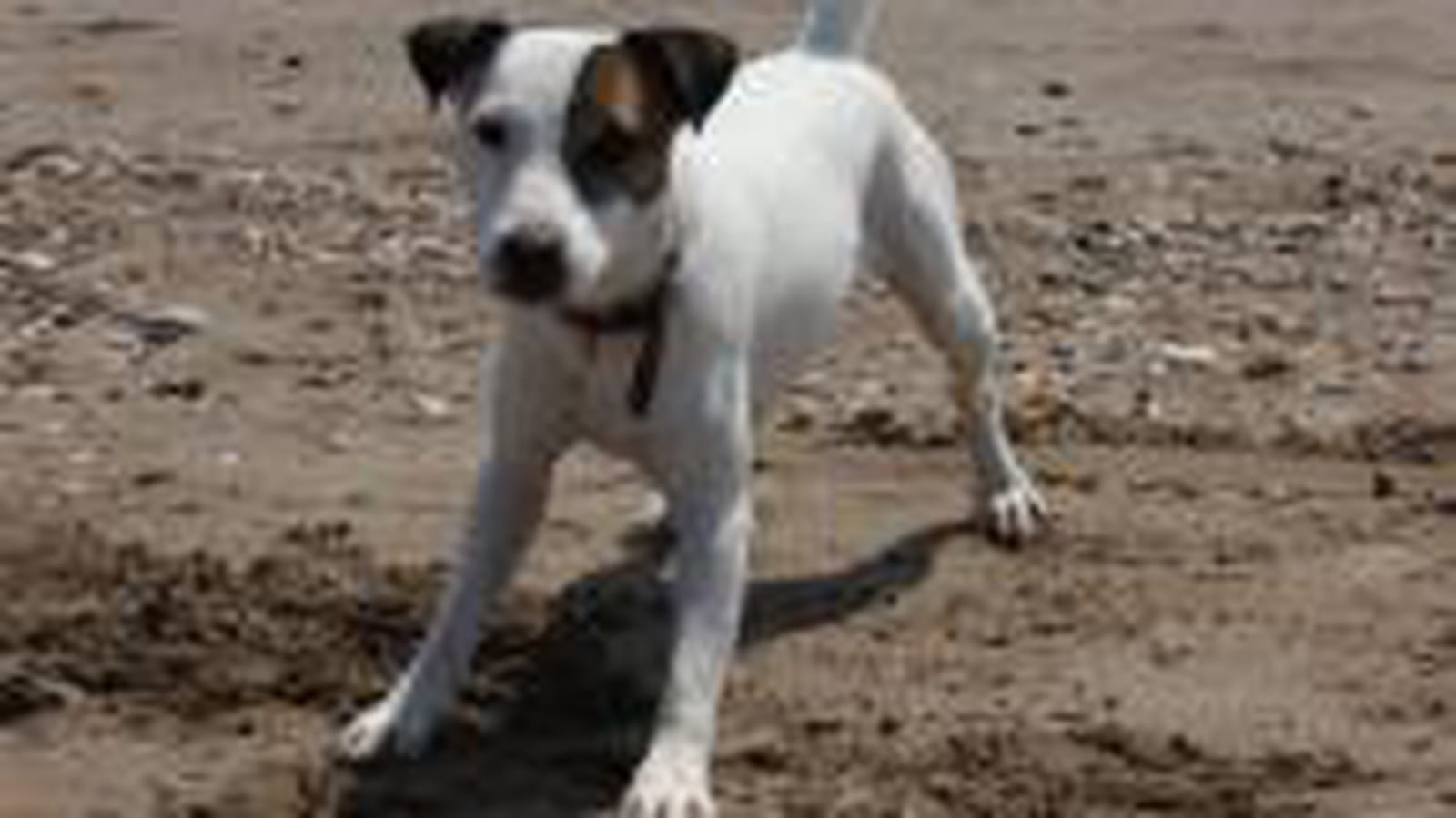 Clyve