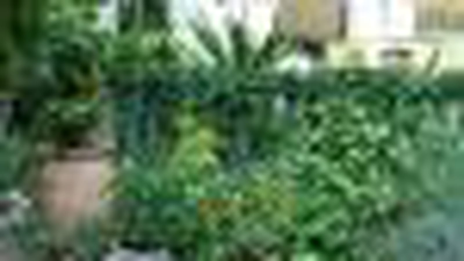 Variétés