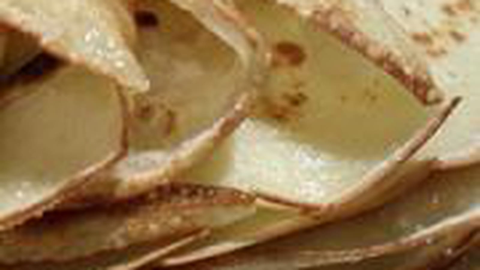 Crêpes sucrées