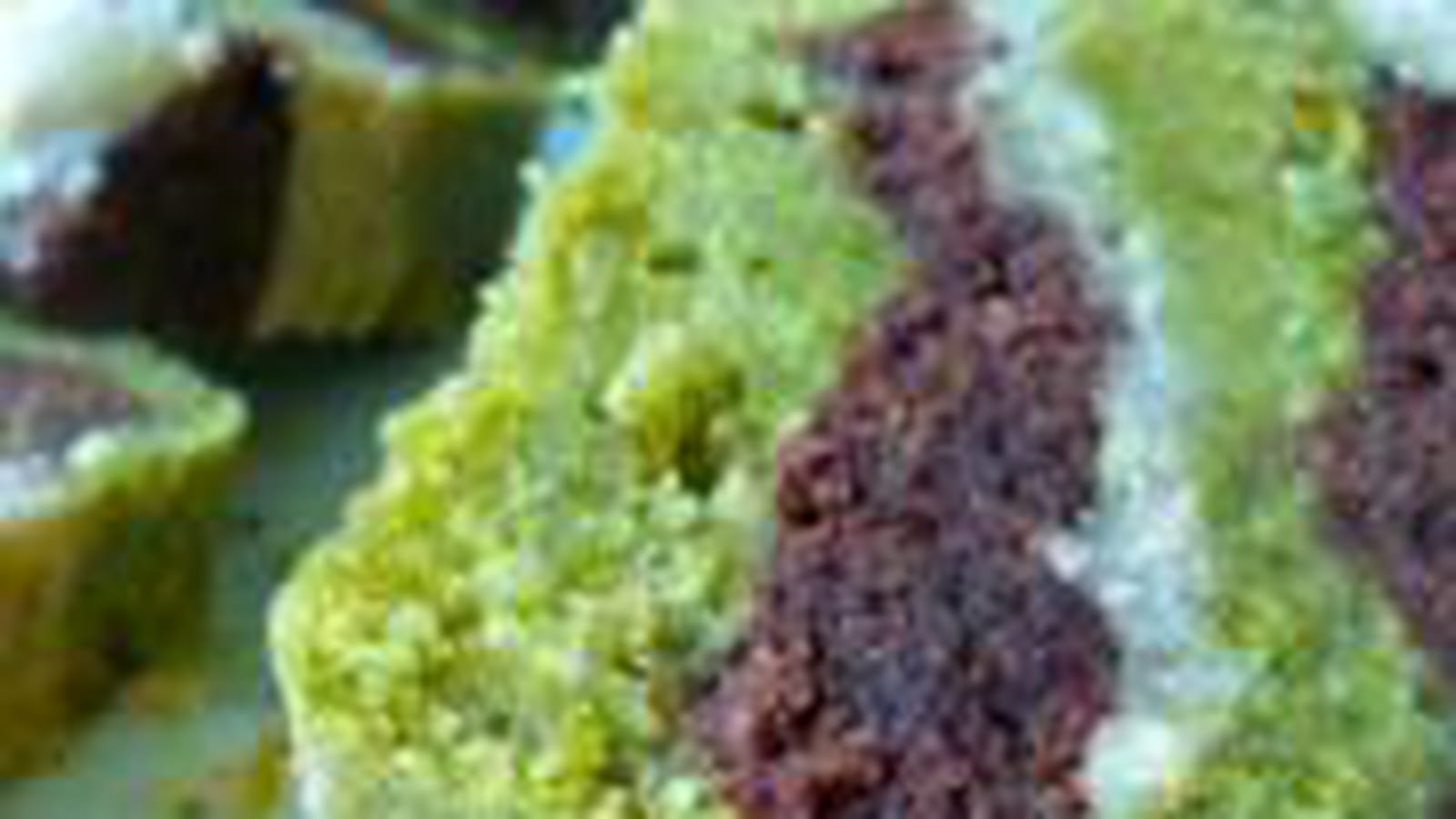 Marbré chocolat-pistache-citron