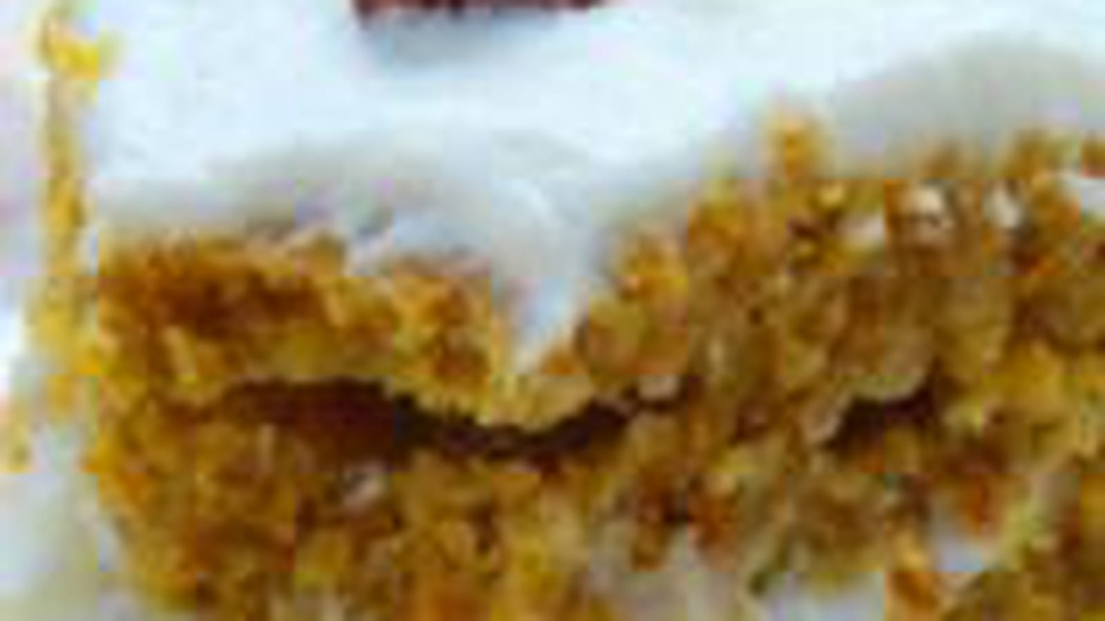 Gâteau carotte noix de pécan