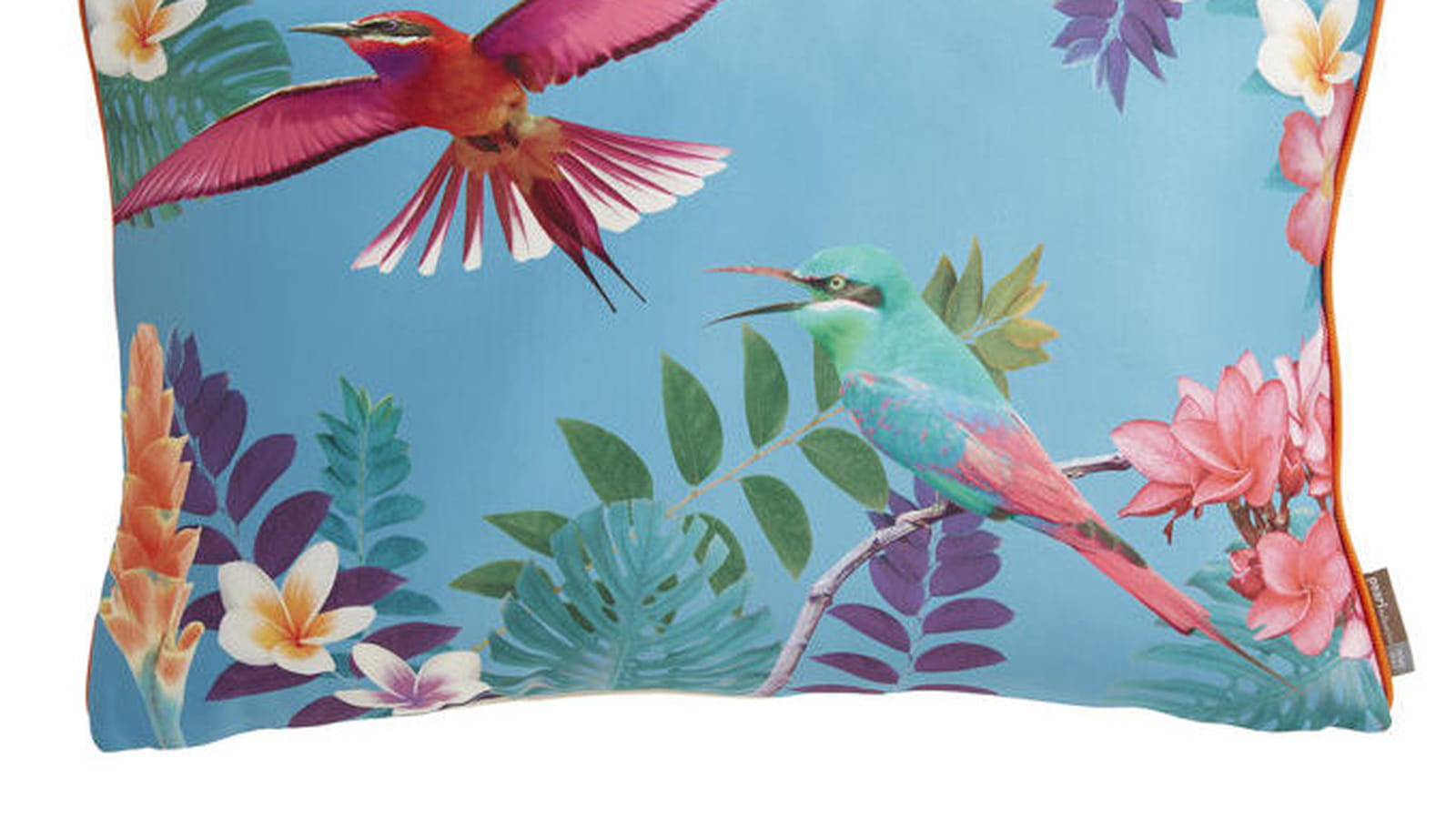 Colibri