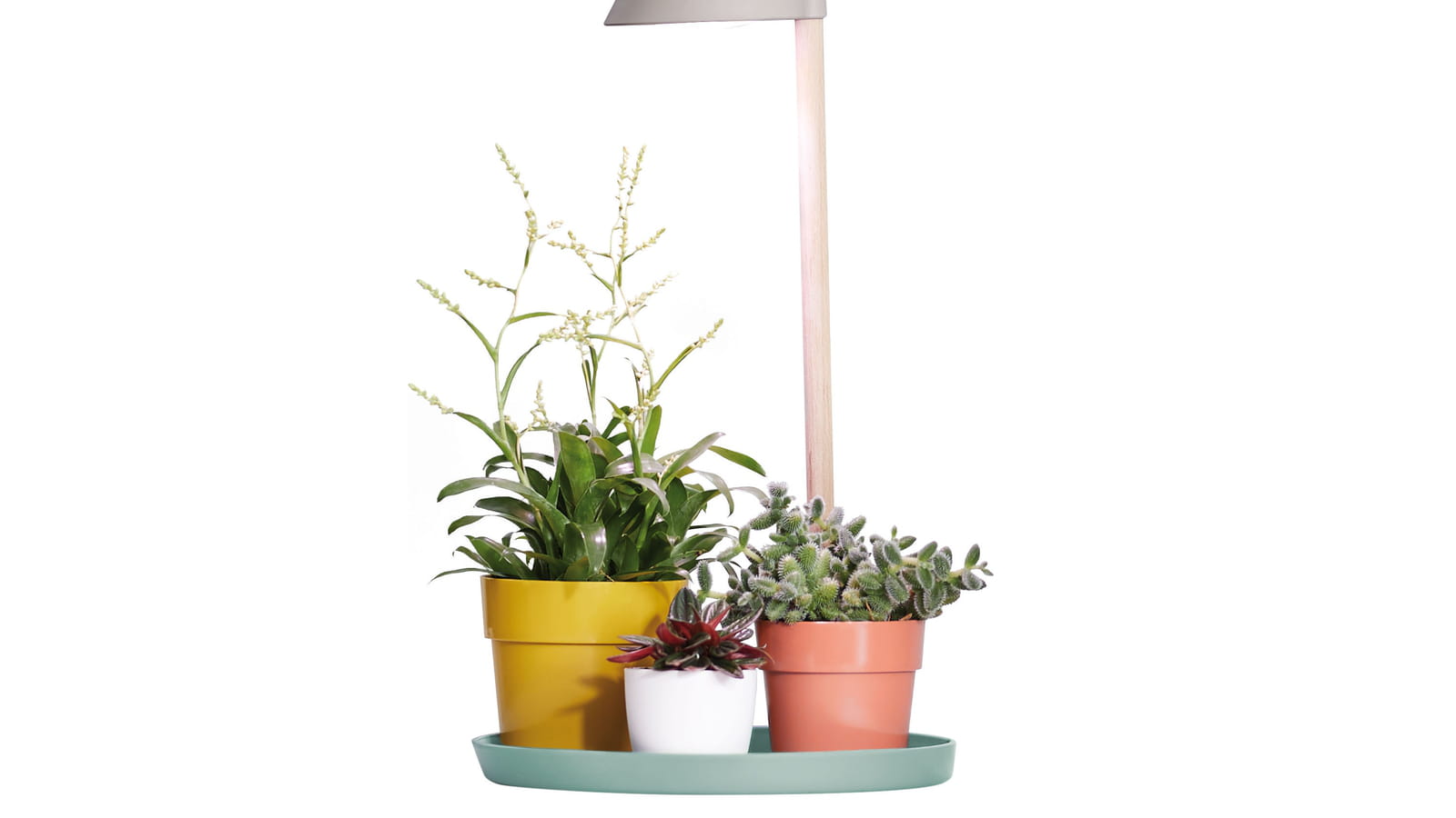 Lampe de culture Elho 