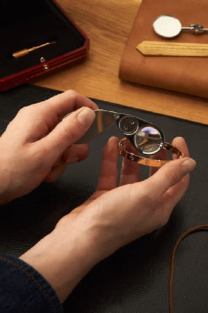 vinted-service-de-verification