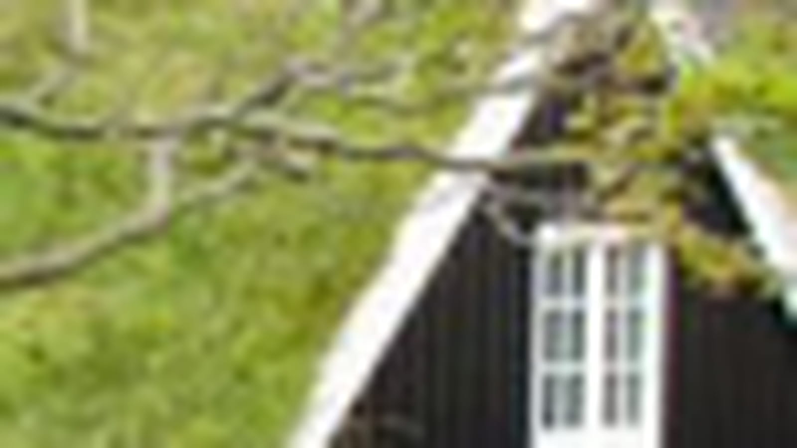 Scandinavie