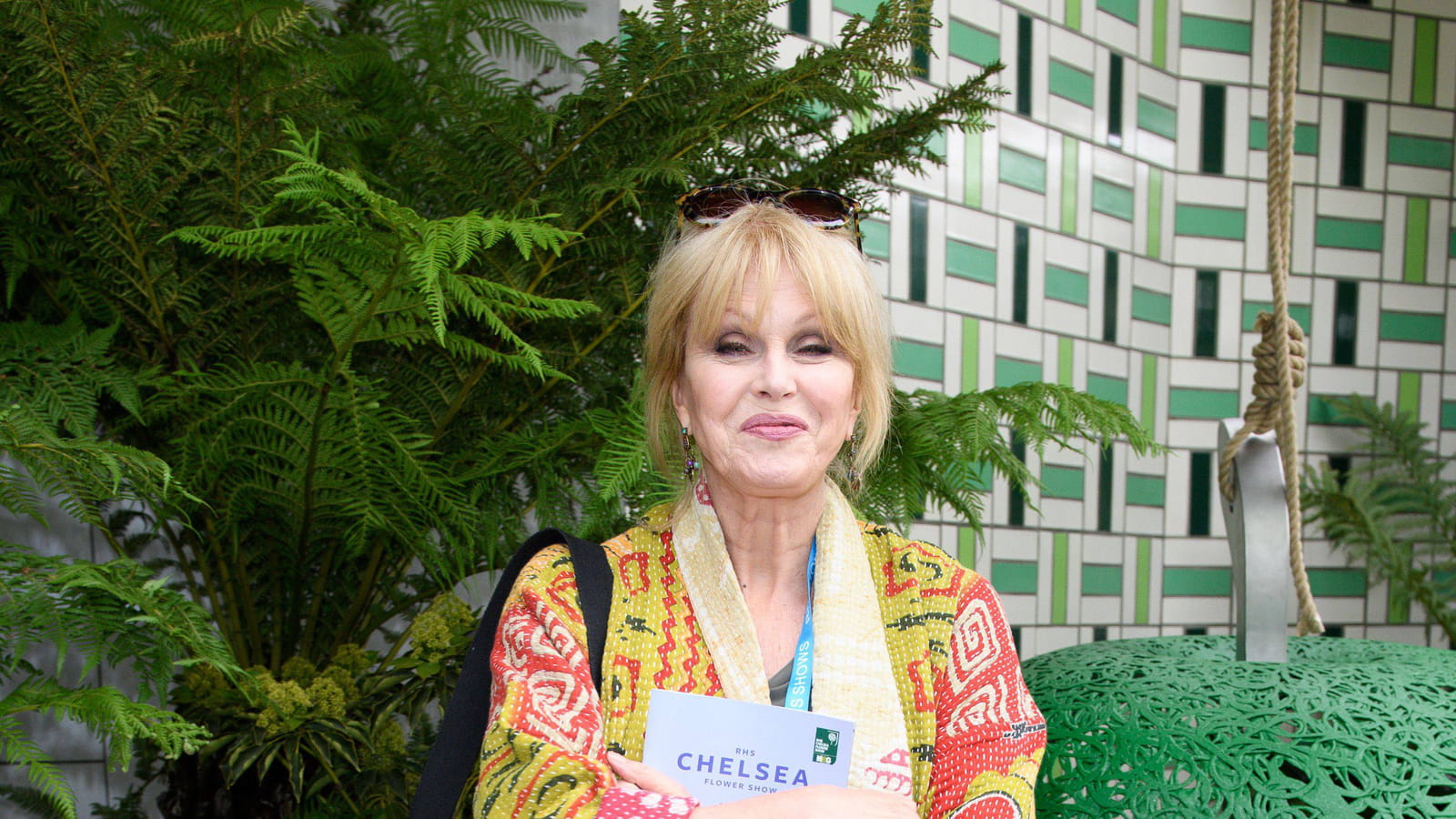 Joanna Lumley
