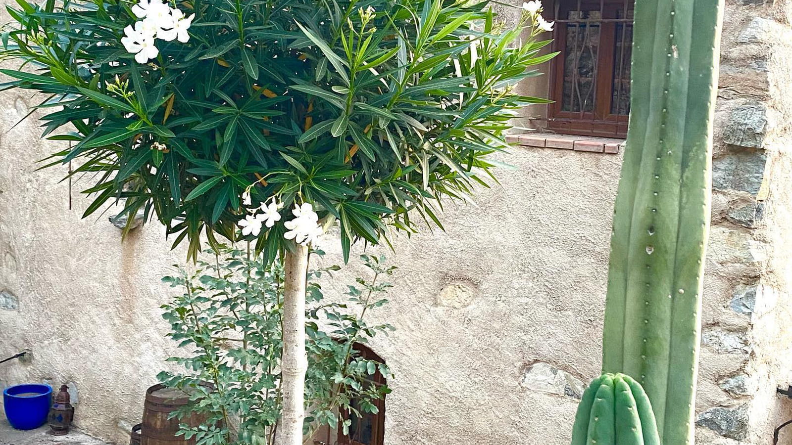 Le jardin corse de Christine Bravo