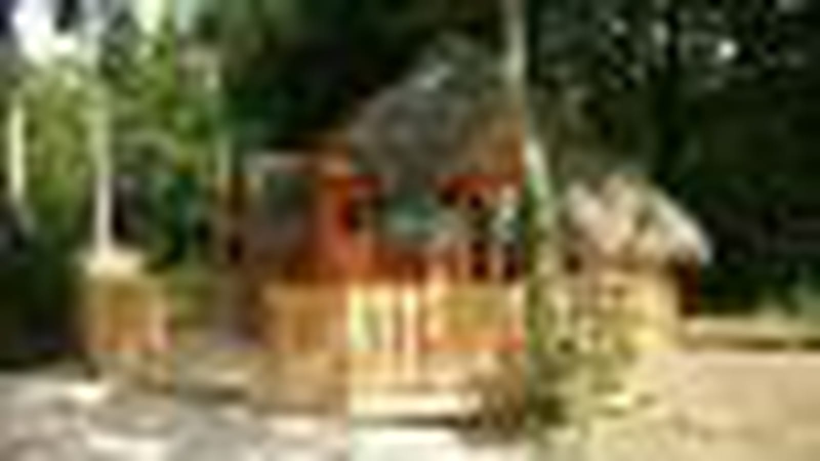 La cabane sur terre