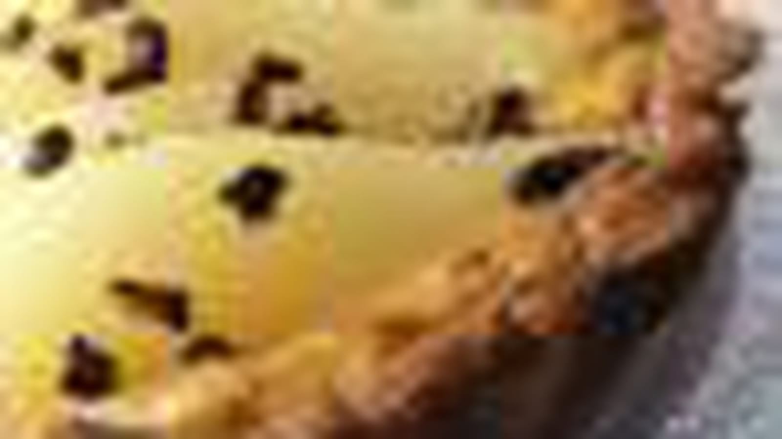 Tartelettes choco-poire