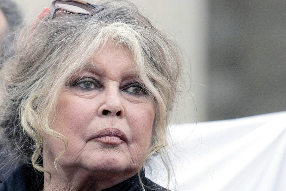 Brigitte Bardot caresse les pangolins, chasse Macron et "méprise" les humains