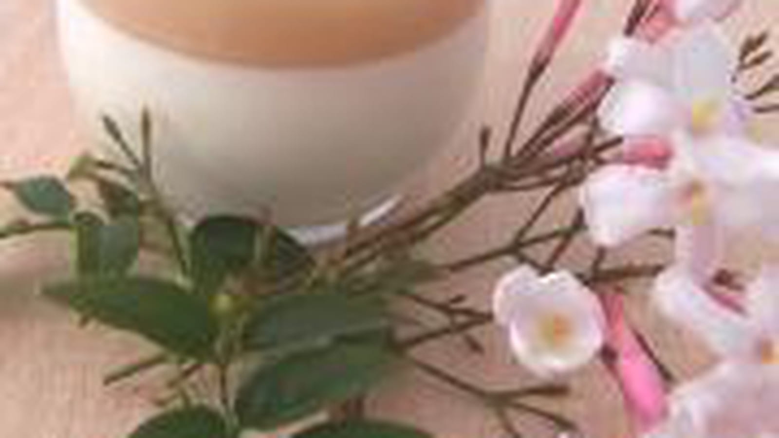 Panna cotta jasmin litchi