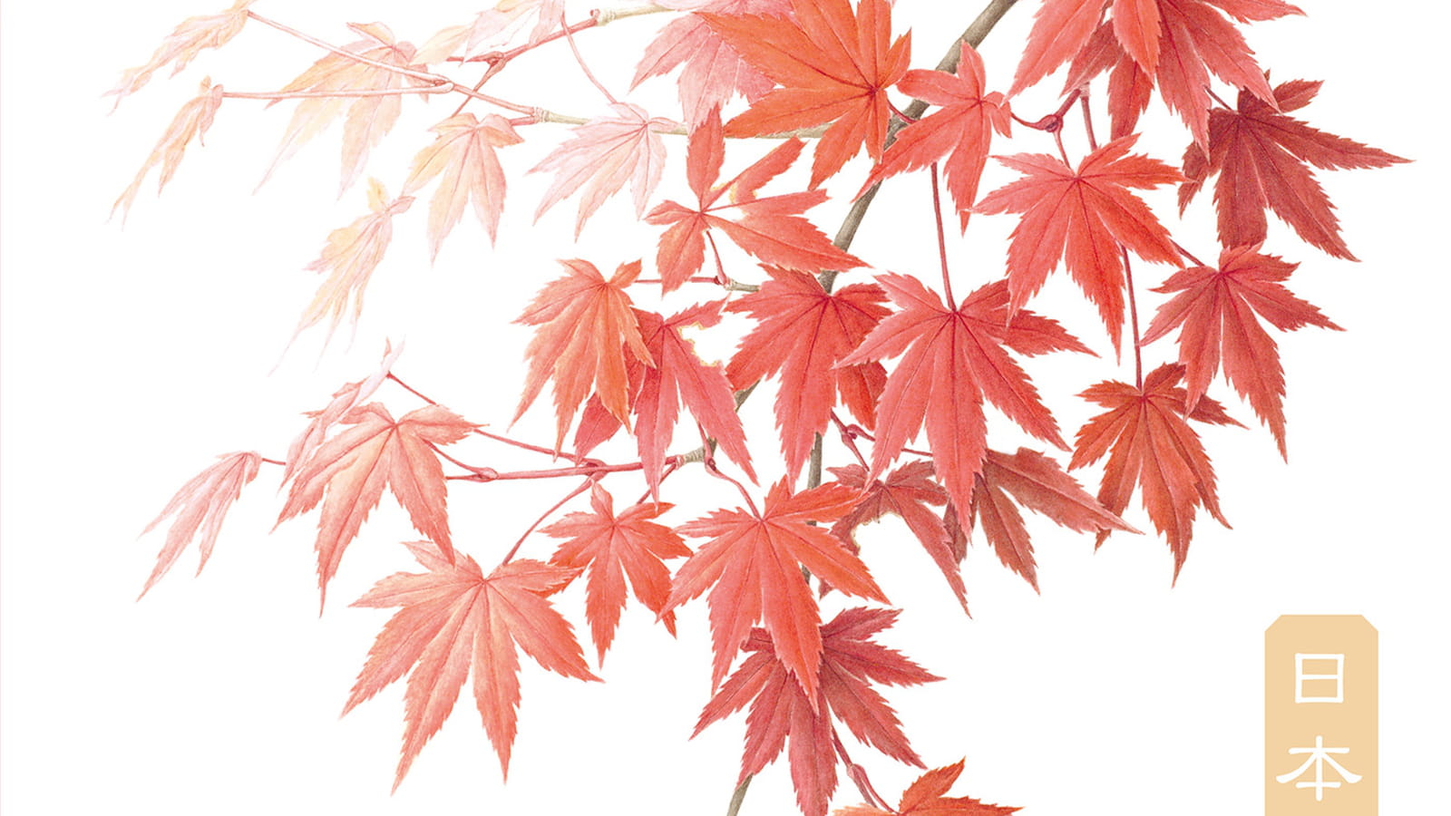 Flora Japonica par Martyn Rix et Masumi Yamanaka