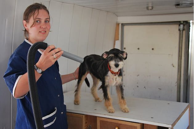 Une petite mise en pli