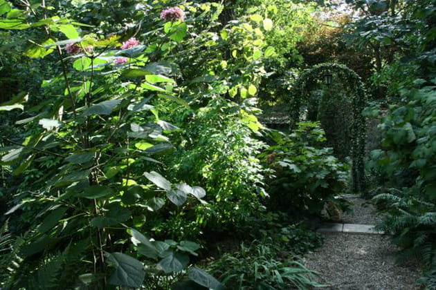 La jungle romantique de Delphine