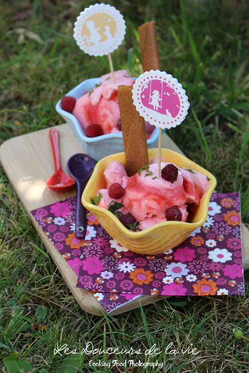 Glace aux fraises sans sorbetière