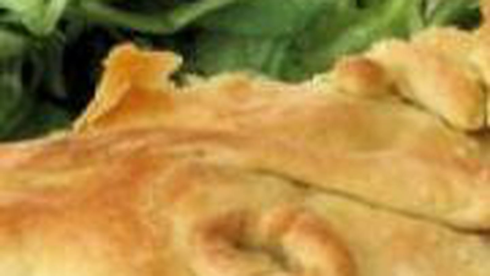 Tourte aux champignons