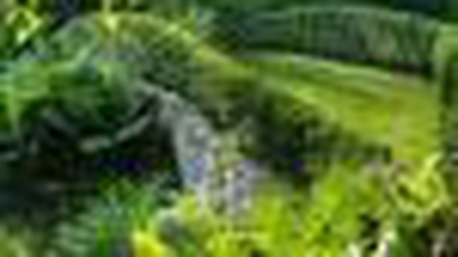 Jardin de Béchigranges