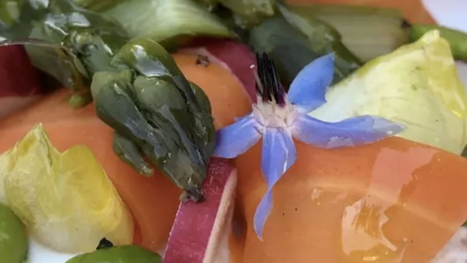 Tartelettes aux légumes de saison