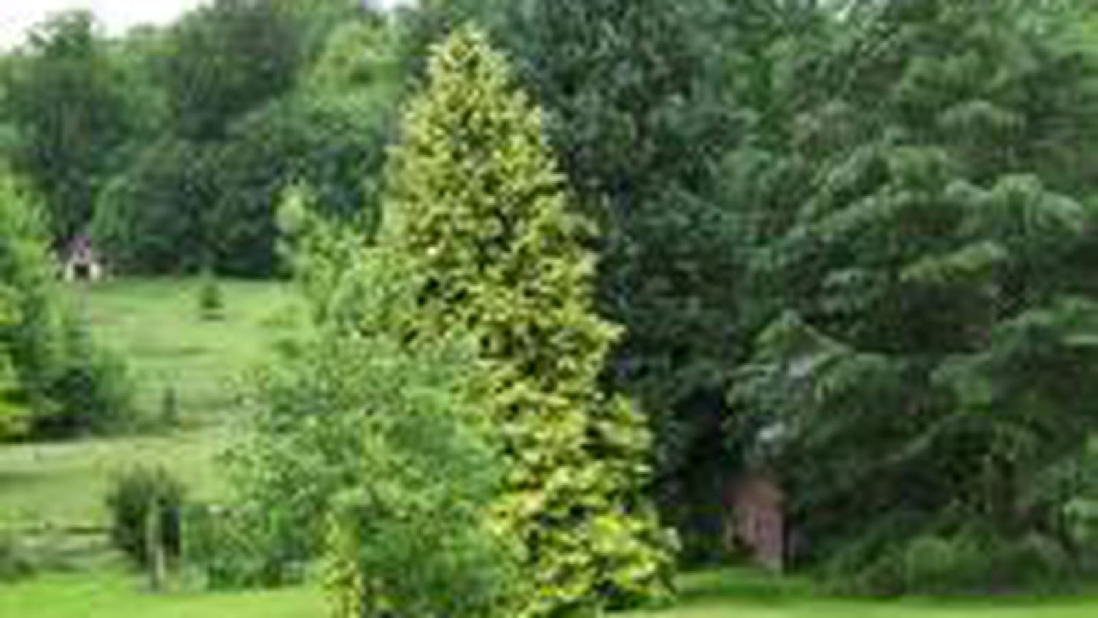 Jardin en devenir